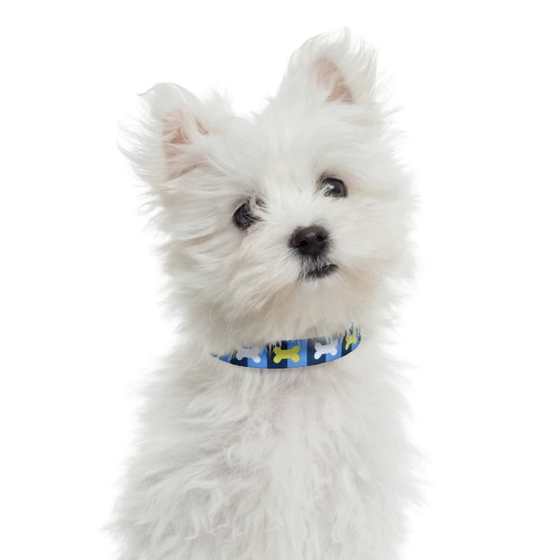 Mile High Life Nylon Puppy Dog Collar Nylon w Cute Patterns Lightweight Girl Boy Collar for Small/Medium/Large Dogs (Blue Bone, Medium Neck 13"-17") - Image 4